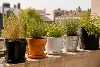 Rangée de pots (plastique noir, terre cuite, céramique claire, métal, pot tissu) exposés au soleil sur un balcon